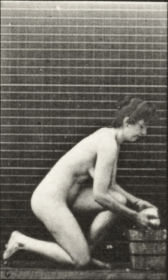 Plate 252 Kneeling on right knee and scrubbing the floor — figure reference